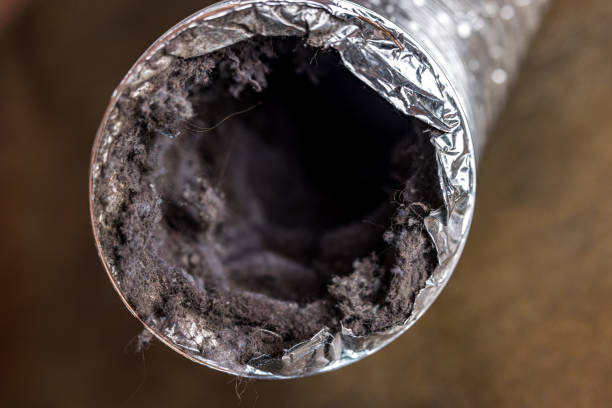 Best Dryer Vent Cleaning Services  in Rockport, IN