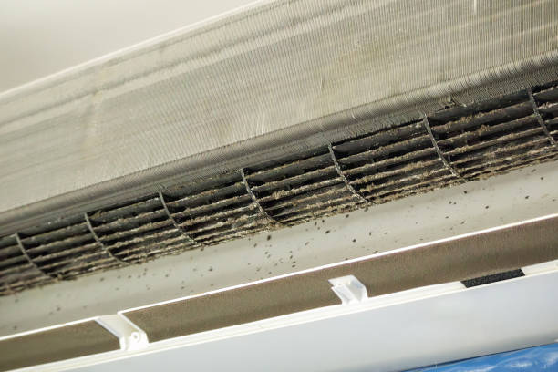 Best Emergency Air Duct Cleaning  in Rockport, IN